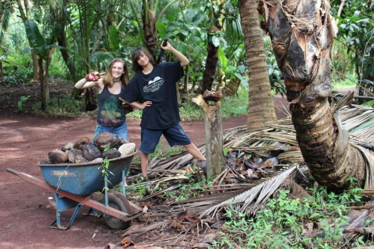 Paradise eco-village Pahoa Extérieur photo