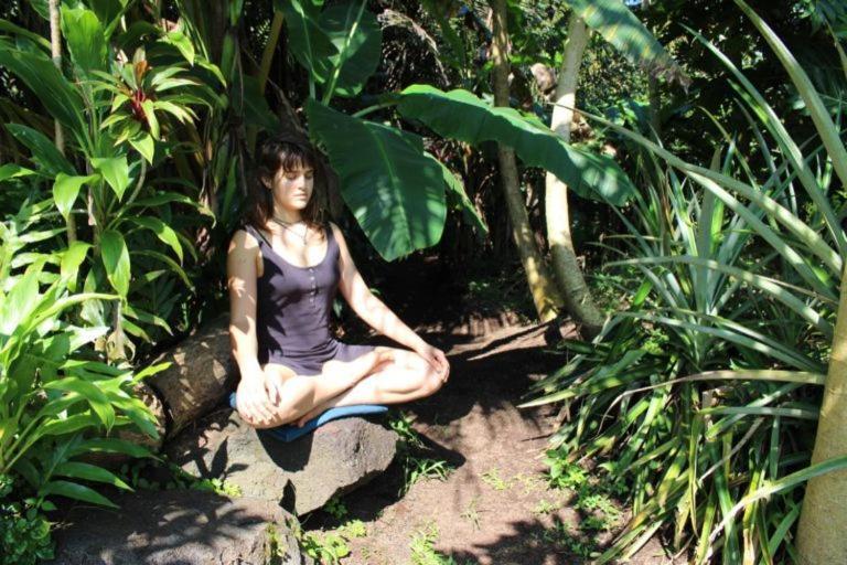 Paradise eco-village Pahoa Extérieur photo