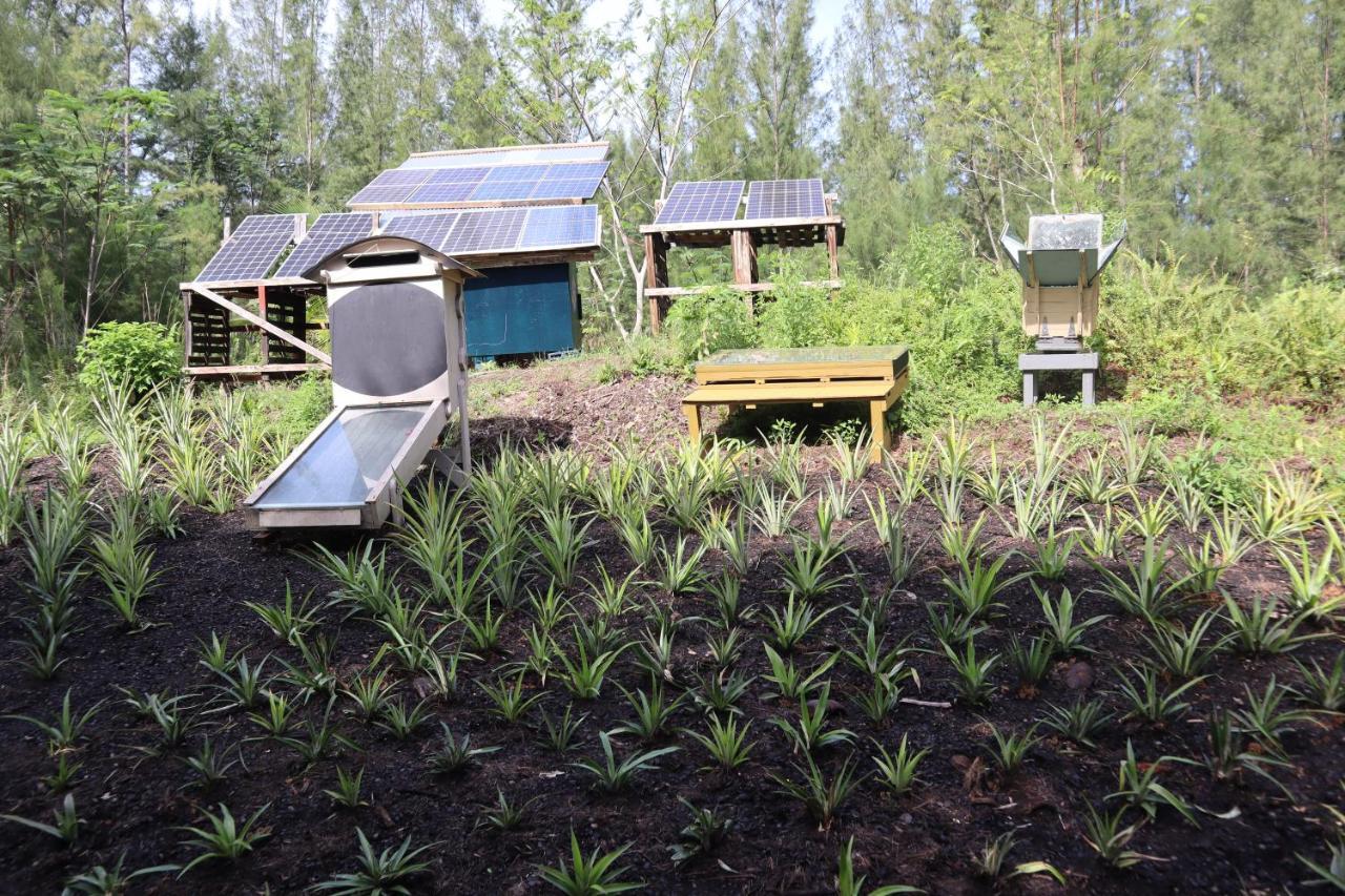 Paradise eco-village Pahoa Extérieur photo