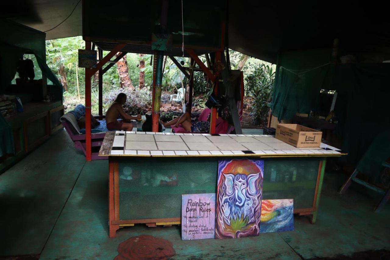 Paradise eco-village Pahoa Extérieur photo